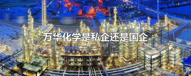 万华化学是私企还是国企
