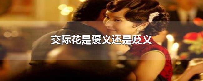 交际花是褒义还是贬义