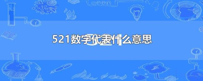 521数字代表什么意思