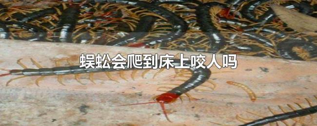 蜈蚣会爬到床上咬人吗 蜈蚣会爬到床上咬人吗