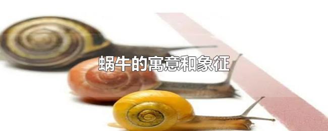 蜗牛的寓意和象征