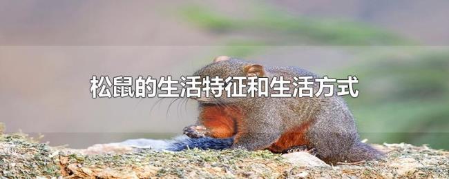 松鼠的生活特征和生活方式