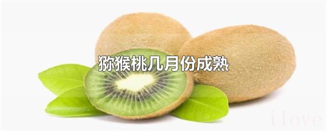猕猴桃几月份成熟