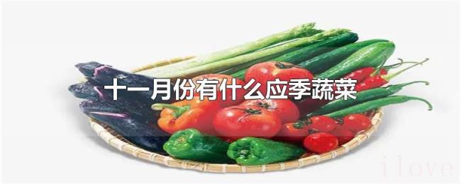 十一月份有什么应季蔬菜