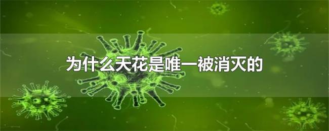 为什么天花是唯一被消灭的