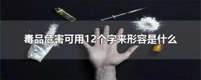 毒品危害可用12个字来形容是什么