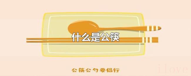 什么是公筷 什么是公筷