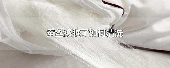 蚕丝被脏了如何清洗