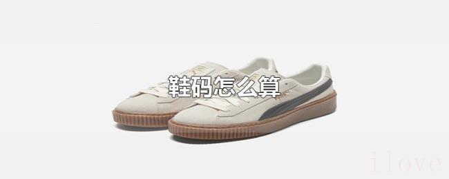 鞋码怎么算 鞋码怎么算