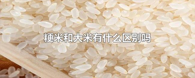 粳米和大米有什么区别吗
