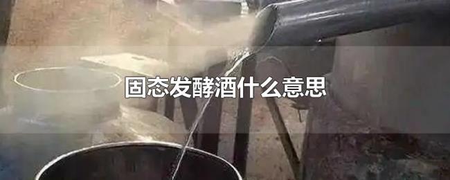 固态发酵酒什么意思