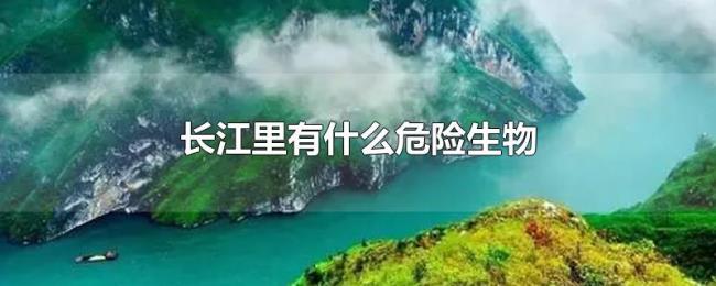 长江里有什么危险生物 长江里有什么危险生物