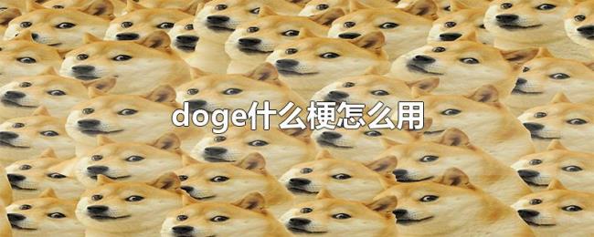 doge什么梗怎么用 doge什么梗怎么用
