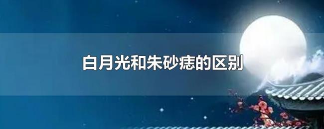 白月光和朱砂痣的区别