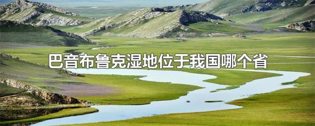 巴音布鲁克湿地位于我国哪个省