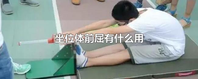 坐位体前屈有什么用 坐位体前屈有什么用