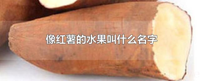 像红薯的水果叫什么名字