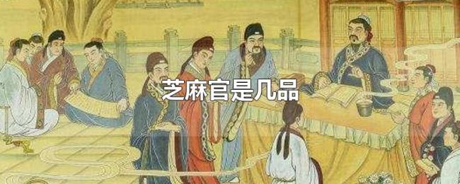 芝麻官是几品 芝麻官是几品