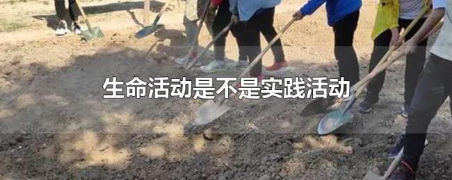 生命活动是不是实践活动