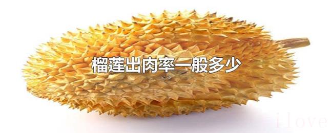 榴莲出肉率一般多少 榴莲出肉率一般多少