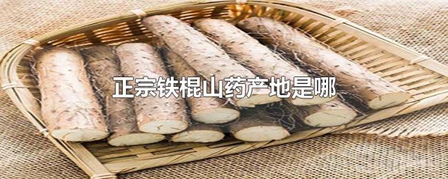 正宗铁棍山药产地是哪