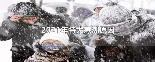 2021年特大寒潮原因 2021年特大寒潮原因