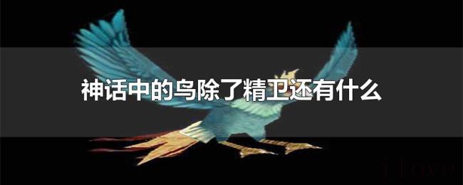 神话中的鸟除了精卫还有什么