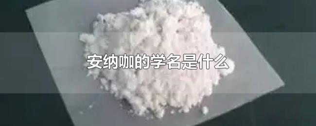 安纳咖的学名是什么 安纳咖的学名是什么