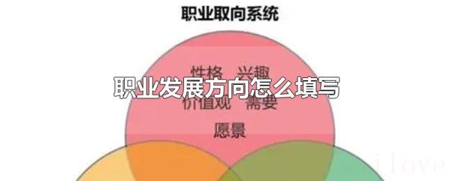 职业发展方向怎么填写 职业发展方向怎么填写