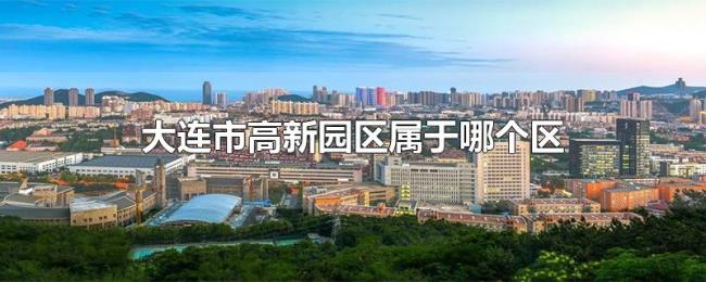大连市高新园区属于哪个区