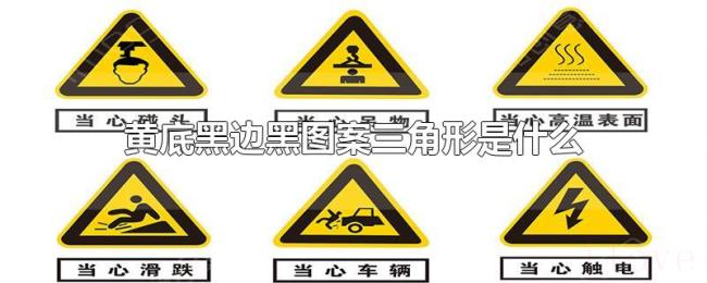 黄底黑边黑图案三角形是什么标志