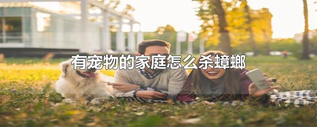 有宠物的家庭怎么杀蟑螂