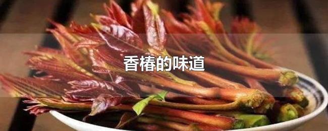 香椿的味道