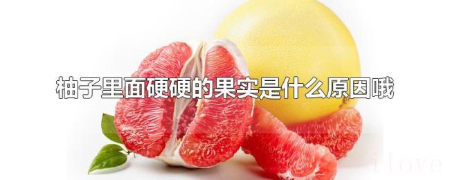 柚子里面硬硬的果实是什么原因哦 柚子里面硬硬的果实是什么原因哦