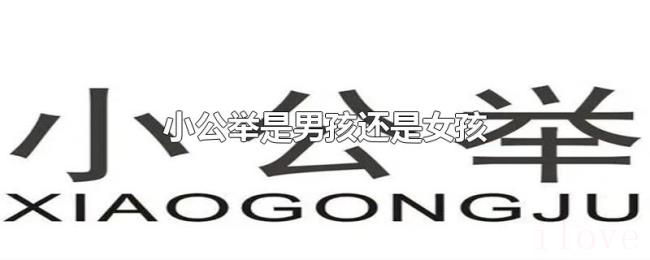 小公举是男孩还是女孩 小公举是男孩还是女孩