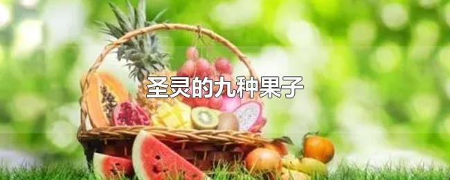 圣灵的九种果子 圣灵的九种果子