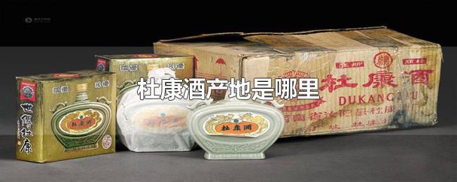 杜康酒产地是哪里