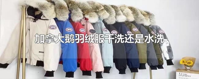 加拿大鹅羽绒服干洗还是水洗