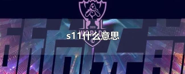 s11什么意思 s11什么意思