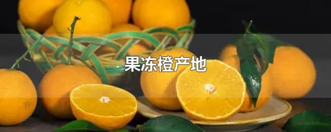 果冻橙产地 果冻橙产地