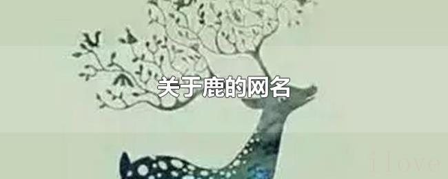 关于鹿的网名 关于鹿的网名