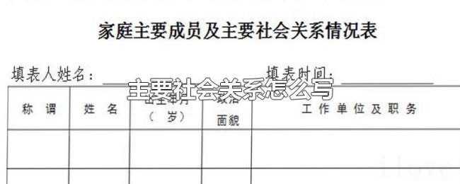 主要社会关系怎么写