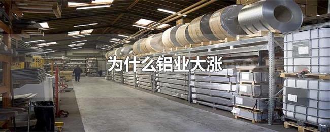 为什么铝业大涨 为什么铝业大涨