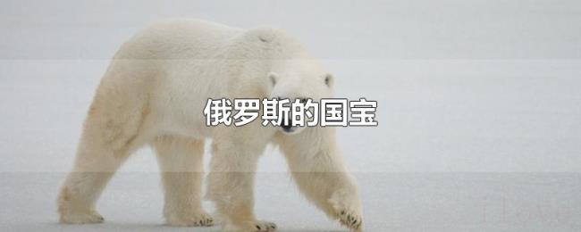 俄罗斯的国宝