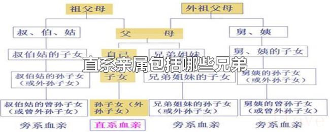直系亲属包括哪些兄弟