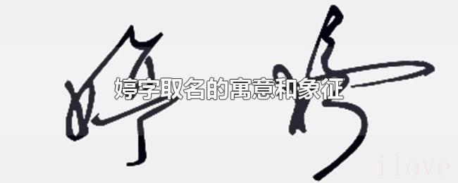 婷字取名的寓意和象征 婷字取名的寓意和象征