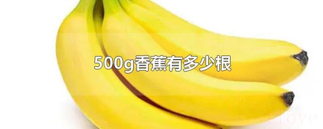 500g香蕉有多少根 500g香蕉有多少根