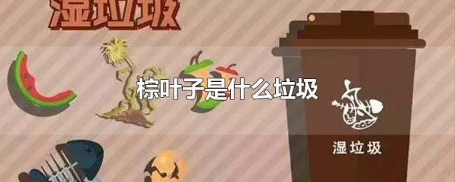 棕叶子是什么垃圾