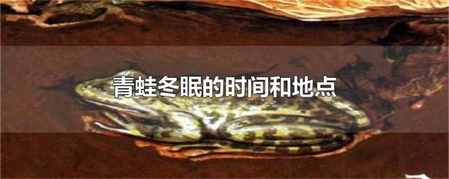 青蛙冬眠的时间和地点 青蛙冬眠的时间和地点