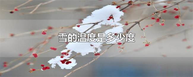 雪的温度是多少度 雪的温度是多少度
